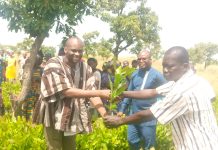 Jirapa MCE hands over 82,250 cashew seedlings to 127 LEAP beneficiaries in Jirapa