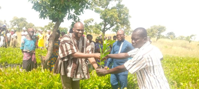 Jirapa MCE hands over 82,250 cashew seedlings to 127 LEAP beneficiaries in Jirapa