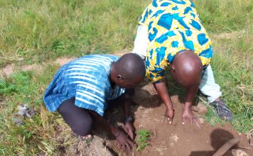 MUSING FROM MY “ONE CORNER”, THOUGHTS FROM THE FARMING SEASON.